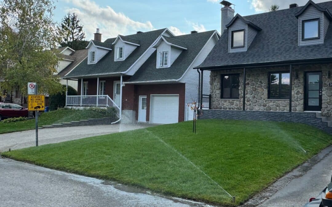 Micro-irrigation : Une solution efficace et éco-responsable pour votre jardin