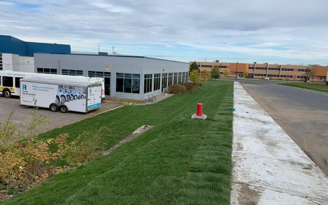 When and how to fertilize your lawn in Quebec?